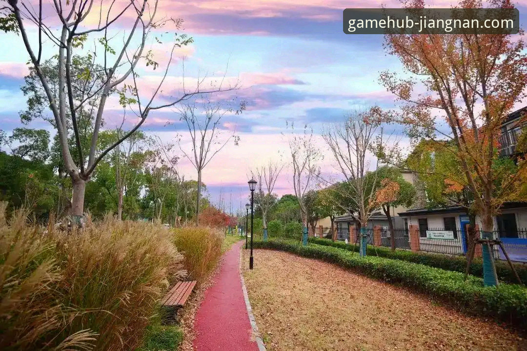 江南体育平台官方应用下载与功能详解